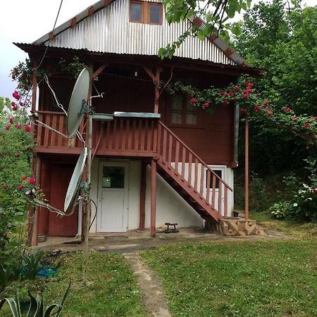 Villa Tengiz Chakvistavi ภายนอก รูปภาพ