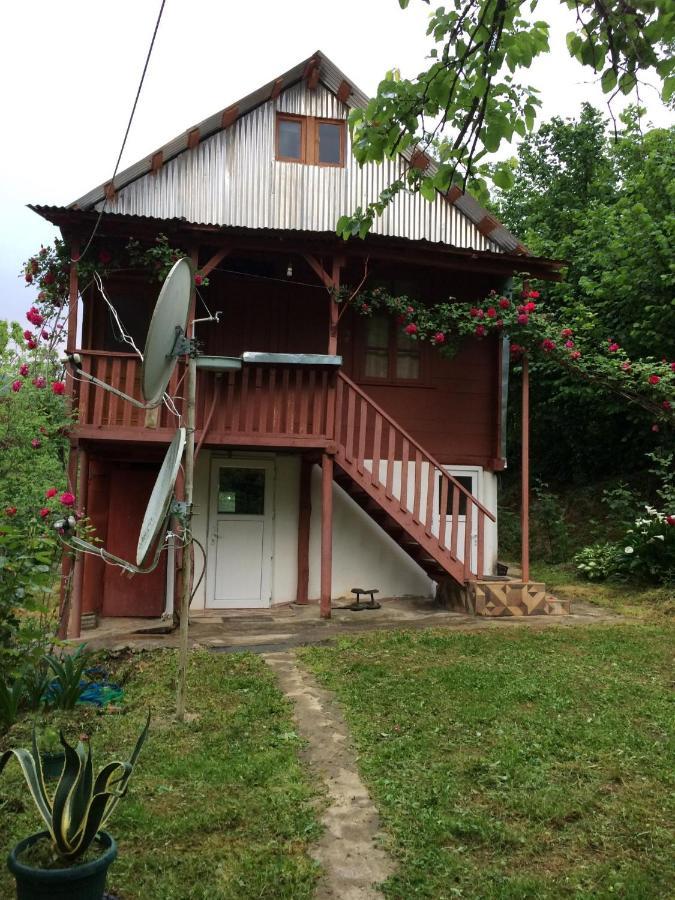 Villa Tengiz Chakvistavi ภายนอก รูปภาพ
