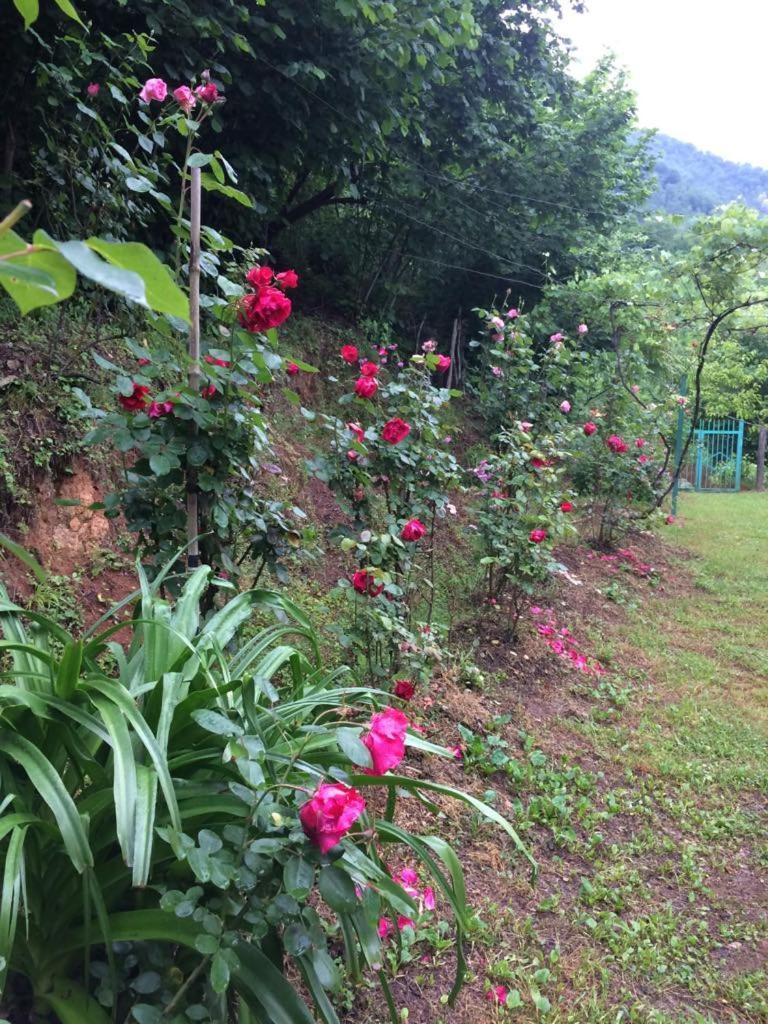 Villa Tengiz Chakvistavi ห้อง รูปภาพ