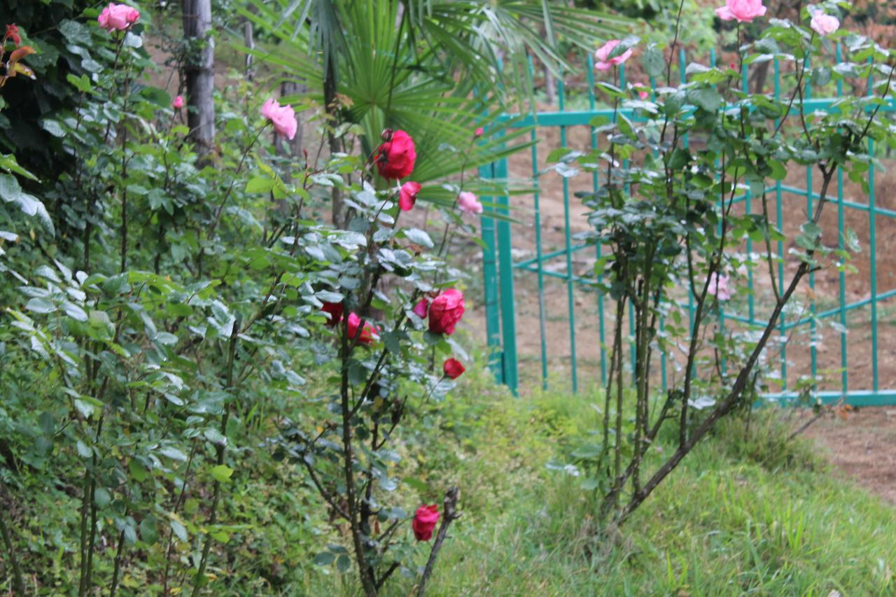 Villa Tengiz Chakvistavi ภายนอก รูปภาพ